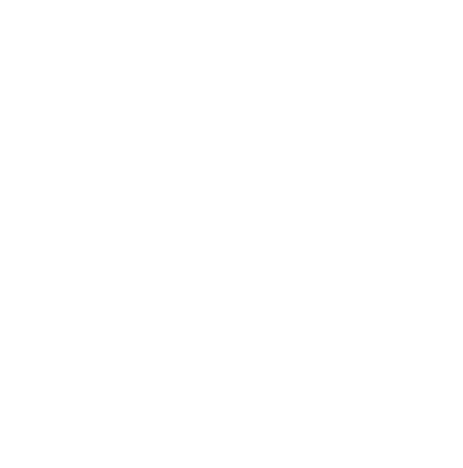 Holzer Pepi - Die fünf Elemente