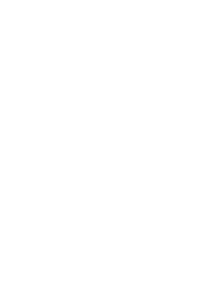 Holzer Pepi | Nervenmassage - Schüsslersalze - Tao der Schüsslersalze