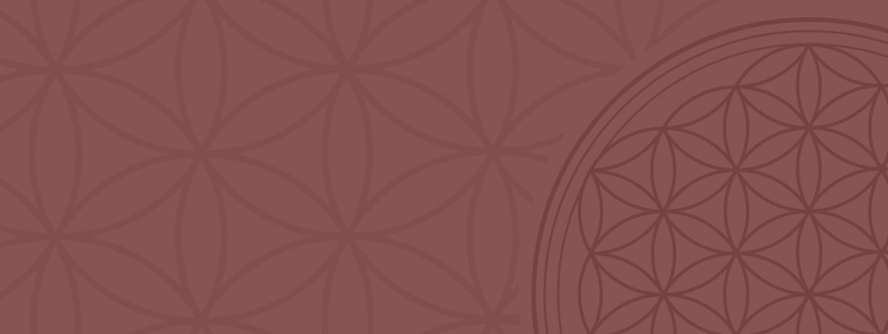 Holzer Pepi | Lebensblume - Schüsslersalze